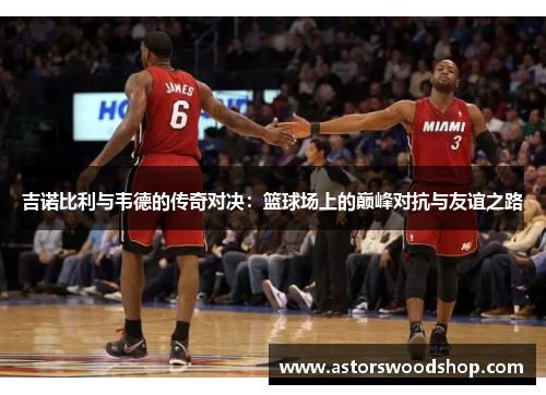 吉诺比利与韦德的传奇对决：篮球场上的巅峰对抗与友谊之路